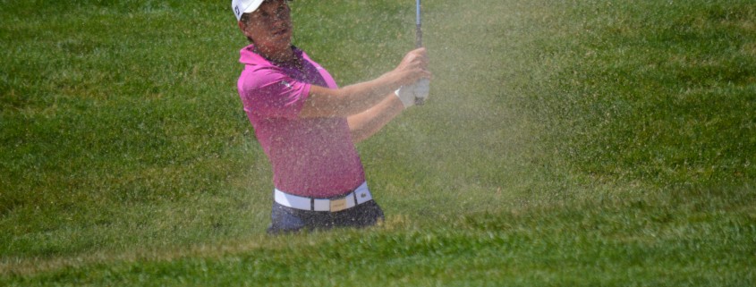 polo rose bunker