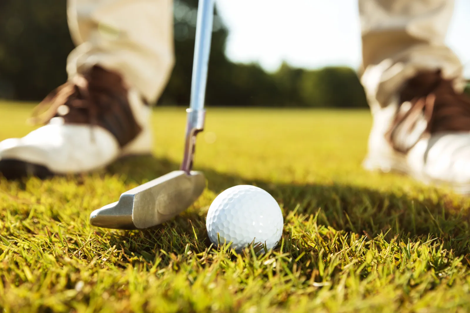 Professional Golf Coach Mathieu Fenasse 2